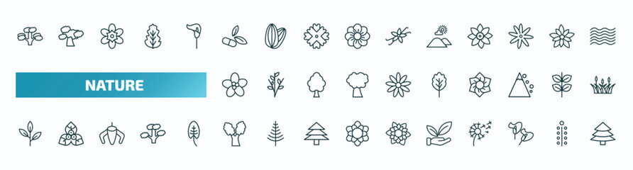 set of 40 special lineal nature icons. outline icons such as pitch pine tree, natural medical pills, hills, pointia, oak, green tea, eastern cottonwood tree, save nature, calla, red spruce tree line - obrazy, fototapety, plakaty