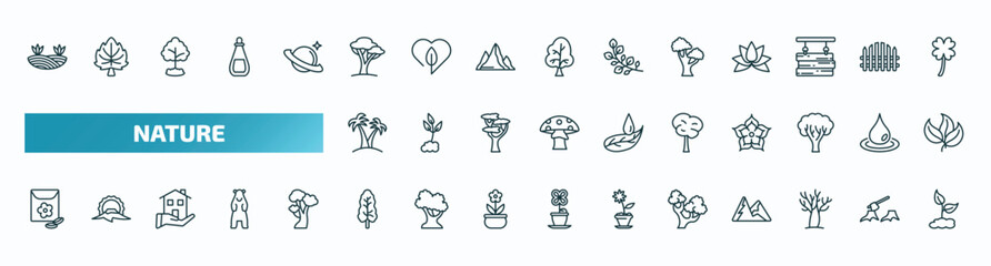 set of 40 special lineal nature icons. outline icons such as prairie, savannah, black oak tree, palm islands, bigtooth aspen tree, flower seeds, black ash tree, northern red oak leafless grows line