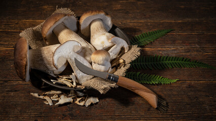 Dark food photography background - Forest mushrooms / Boletus edulis (king bolete) / penny bun /...
