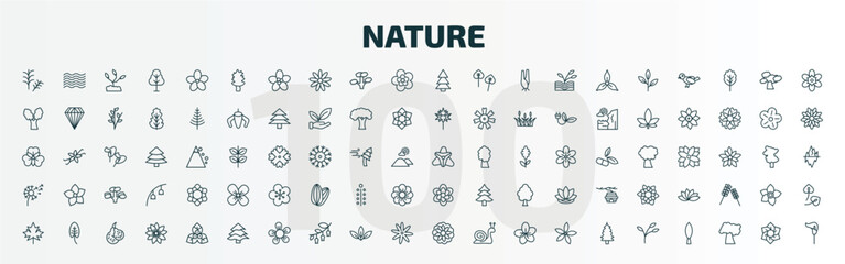 Fototapeta set of 100 special lineal nature icons set. outline icons such as rosemary, cucumber tree tree, red pine tree, gladiolus, dandelion, anemone, maple, balsam fir astrantia, branch line icons. obraz