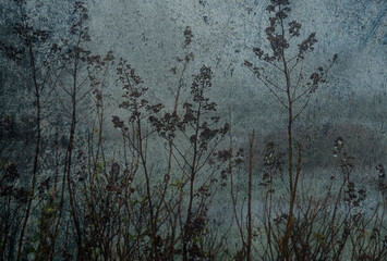 floral artistic background on concrete.