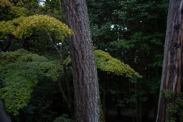 Toshodaiji Temple 