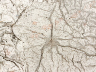 Decorative gray cement background