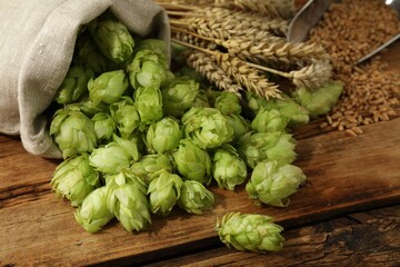 Fresh green hops, wheat grains and spikes on wooden table, closeup
