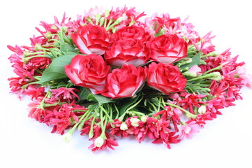 Red textile rose on Combretum indicum 