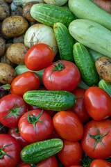 Organic vegetables on green grass on the farm. Growing organic products. Harvesting. Farming concept. Fresh crops, tomatoes harvest, carrot, potato, cucumbers, outdoors