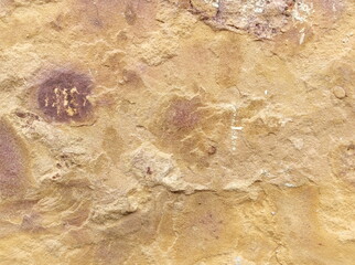 Brown stone texture background.