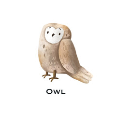 owl poster with name for kids. It is ideal for room decoration and decoration