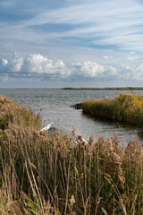 Skandinavische Fjord-Landschaft. Schilfg&uuml;rtel, See mit wei&szlig;em Boot. Kleiner Zufluss.