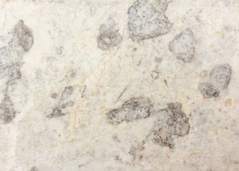 Marble Tiles texture wall marble background
