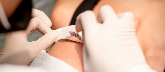 Naklejka premium The hands of the cosmetologist are gluing white tape under the eye of the young caucasian woman during the eyelash extension procedure, closeup