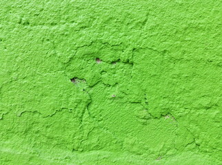 Decorative green cement wall background