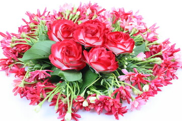 Red textile rose on Combretum indicum 