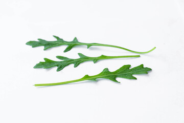 fresh green arugula leaves isolated on white background
