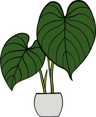 simplicity philodendron gloriosum houseplant simplicity freehand drawing flat design.