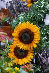 Obraz na płótnie Canvas sunflowers in the garden