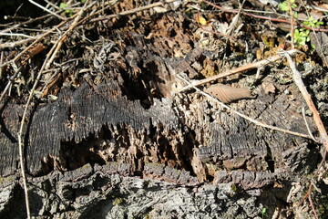 ground texture