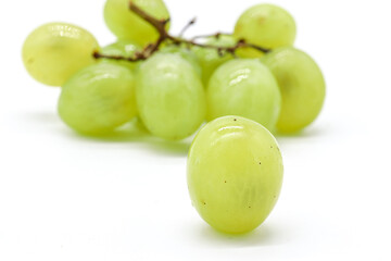 bunch of green grapes on white background
