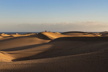 Fototapeta na wymiar Ocean Dunes
