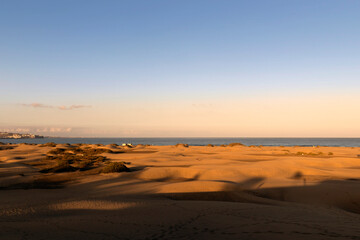 Fototapeta na wymiar Ocean Dunes