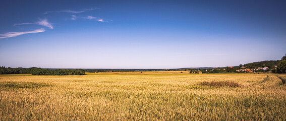 Panorama Getreidefelder in Polen im Sommer mit schönem, blauen Himmel und leichtem Wolkenband. -...