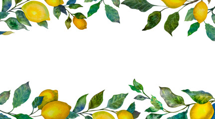 Horizontal border of lemon branches. Leaves and fruits. Botanical Frame
