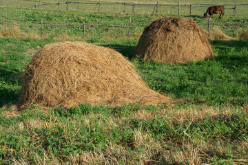 Pile of hay on a field view