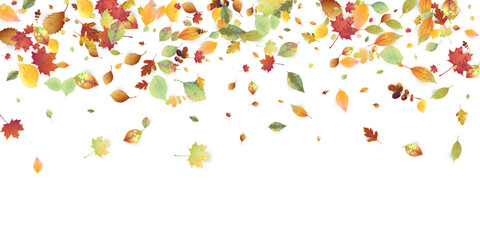 Leaves Falling Autumn Foliage Chaotic Leaf Flying