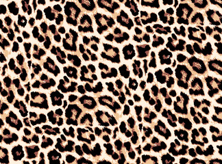 Seamless leopard pattern, animal print. - obrazy, fototapety, plakaty