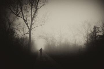 	
Silhouette of man walking through park down the footpath on a misty winter day in sepia tones