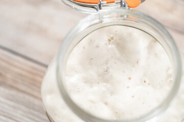 Sourdough starter