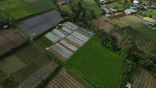 Aerial View of Agricultural Fields in Countryside of Bali Island, Indonesia