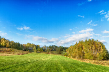 Fototapeta na wymiar Landscape autumn time on the meadow, colourful trees and amazing blue sky with clouds, sunny day, Poland Europe