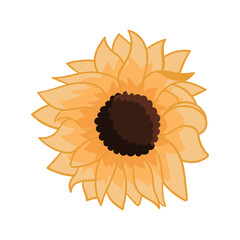 Vector clipart with sunflower. Illustration of cozy sunflower.