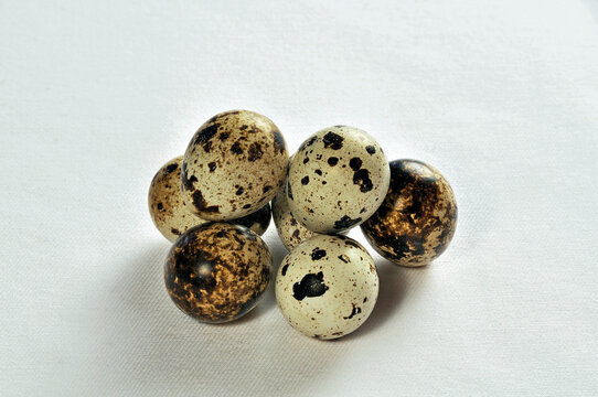 Ovinhos de codorna com casca em fundo branco