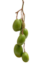 Hog plum or Spondias pinnata isolated on white background.