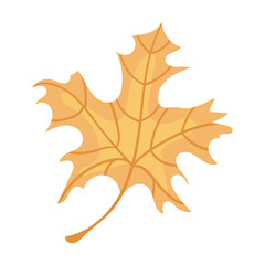 Fototapeta premium Vector clipart with autumn leaves. Illustration of cozy leaves.