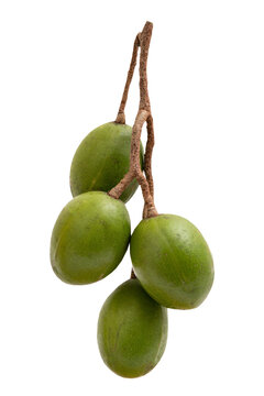Hog plum or Spondias pinnata isolated on white background.