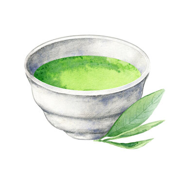 Matcha beverage in white bowl with leaves. Healthy asian drink. Hand drawn watercolor illustration of herbal tea isolated on white. Single element for menu, recipe, label, packaging design.
