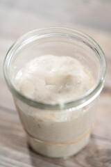 Sourdough starter