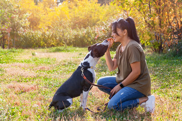 Woman sitting with American Staffordshire terrier on the meadow.