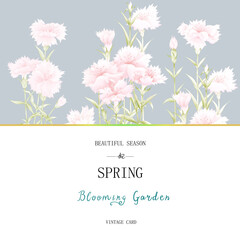 Watercolor set with carnations ,Mother's day greeting card