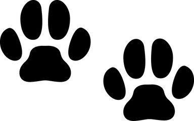 Lynx wild animal paw imprints wild cat step trail
