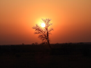 Kruger Park 