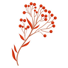 Vector clipart with autumn rowan. Illustration of cozy Rowan.