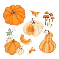 Cute vector set of leaves, pumpkins. Hand drawn vector illustration. Autumn elements for greeting cards, posters, stickers and seasonal design.