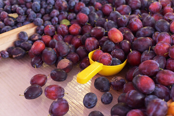 Plums on the counter. Plum harvest.