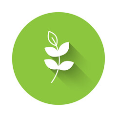 White Willow leaf icon isolated with long shadow background. Green circle button. Vector