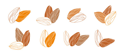 Set of  almond on white background. Hand drawn vector illustration.