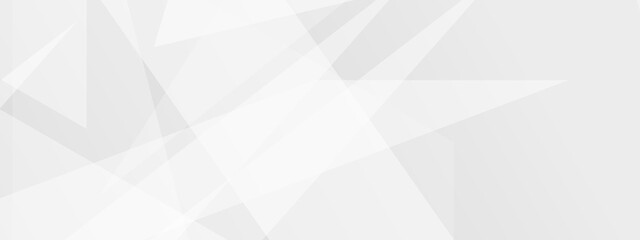 Abstract white and gray color technology modern background and geometric and paper texture design in illustration. Texture of white crumpled paper .shadow style. . Geometry shine and layer element .